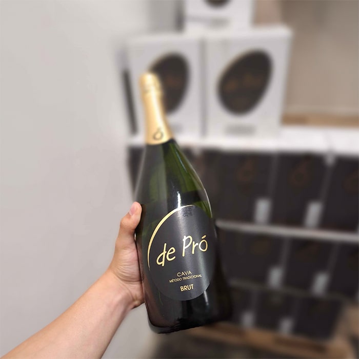 Cava de Pró Brut 0,75l 11,5%