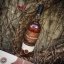 Finlaggan Sherry Finished 0,7l 46% + dárková krabička