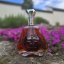 Panjas XO Extra Premium 0,7l 40%