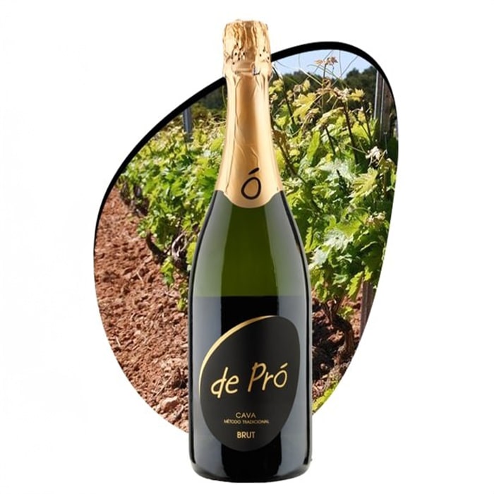 Cava de Pró Brut 0,75l 11,5%